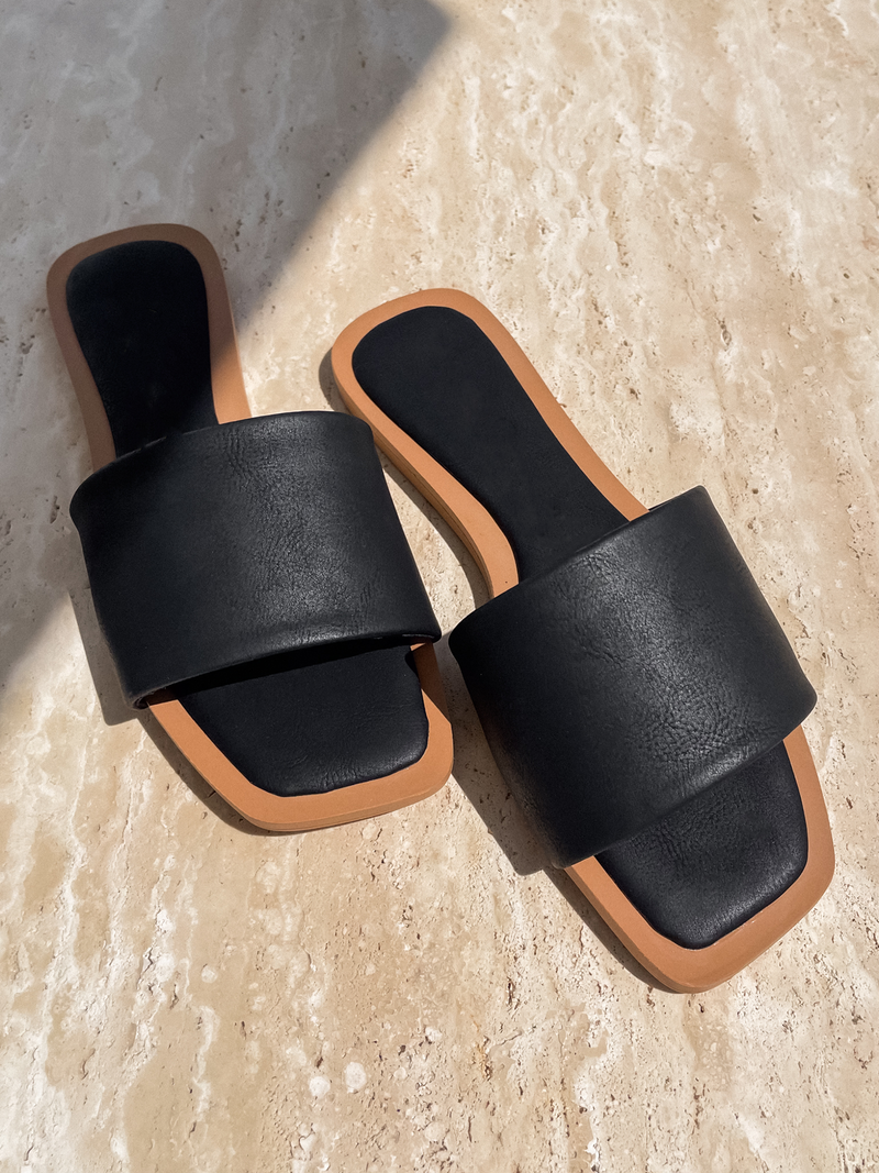 Feather 2025 slides black