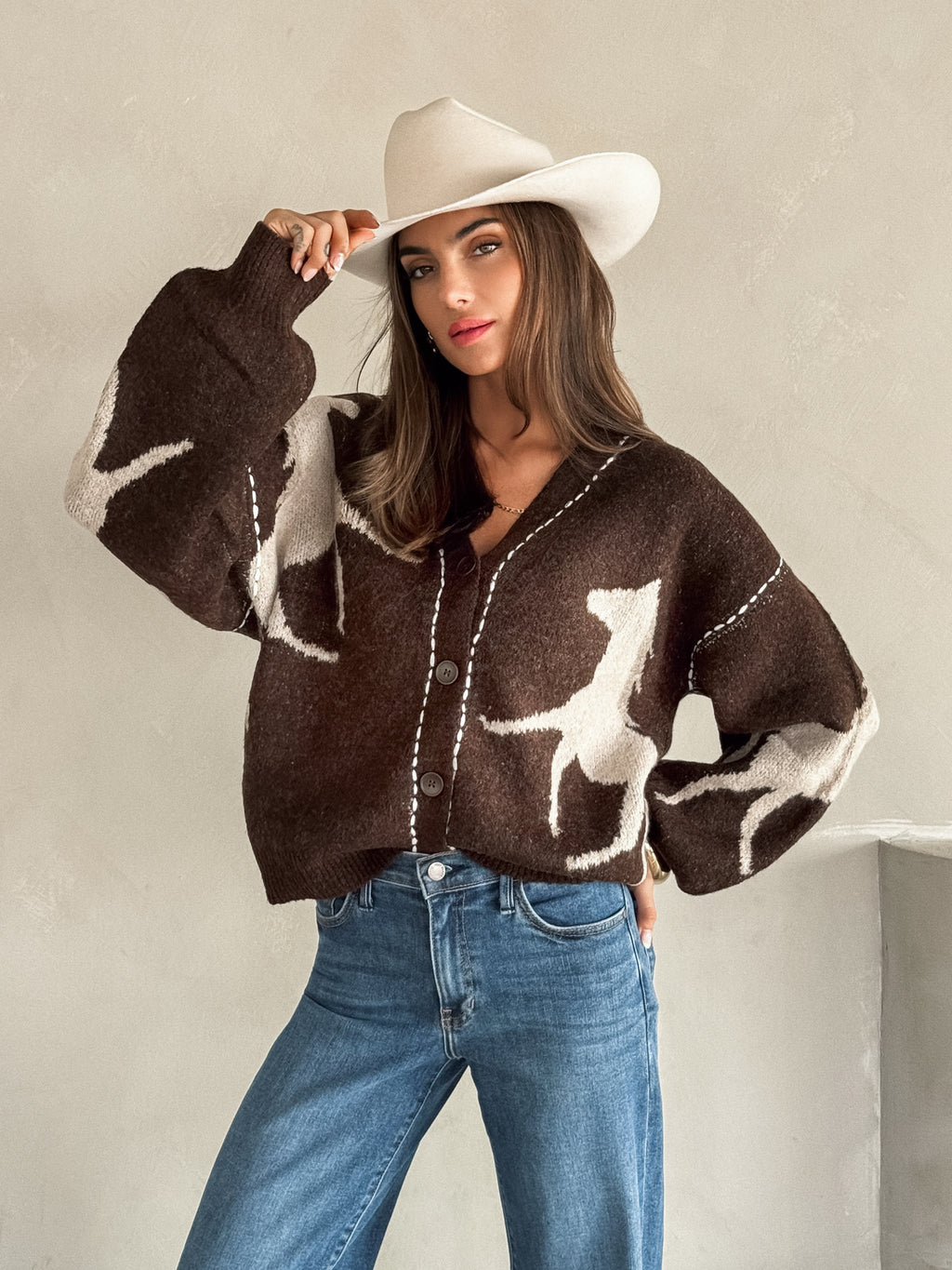 Denver Horse Print Sweater