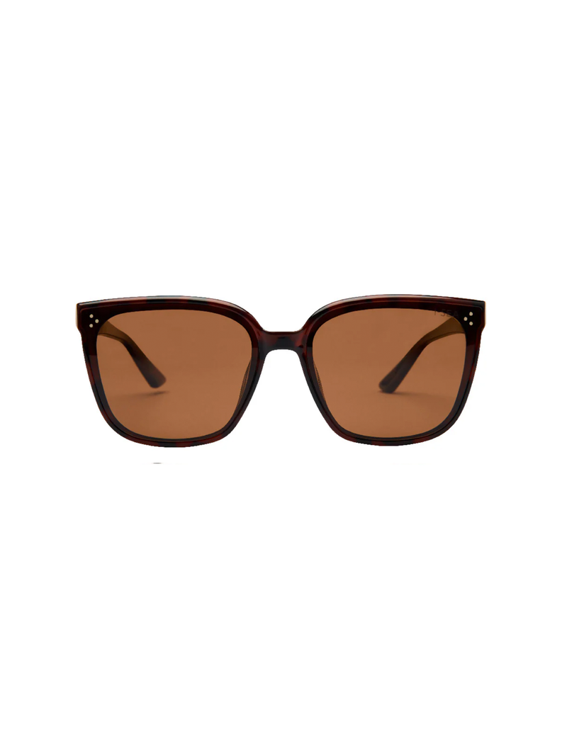 Madi Sunnies in Tort/Brown - Stitch And Feather