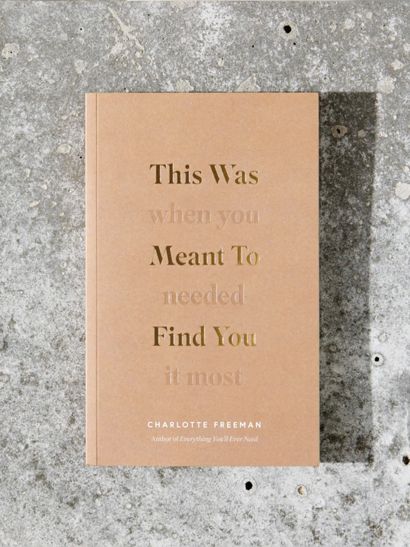 This Was Meant to Find You Book